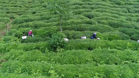 People working on a terrace