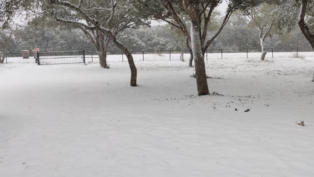 2020 South Central Texas snow