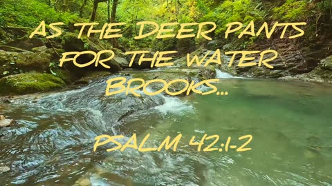 As A Deer Pants For The Waters (Psalm 42:1-2📖)