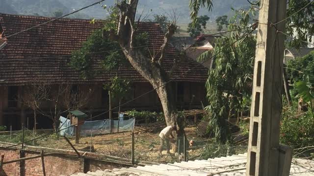 Miscalculations Send Timber Falling Onto House Roof