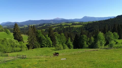 Prairie view of a ranch with horses