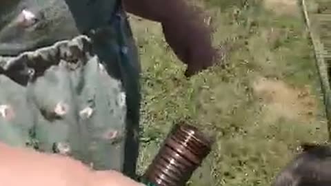 surprise drink