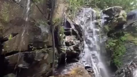 Funny video What a nice view ✨⛰️🌲