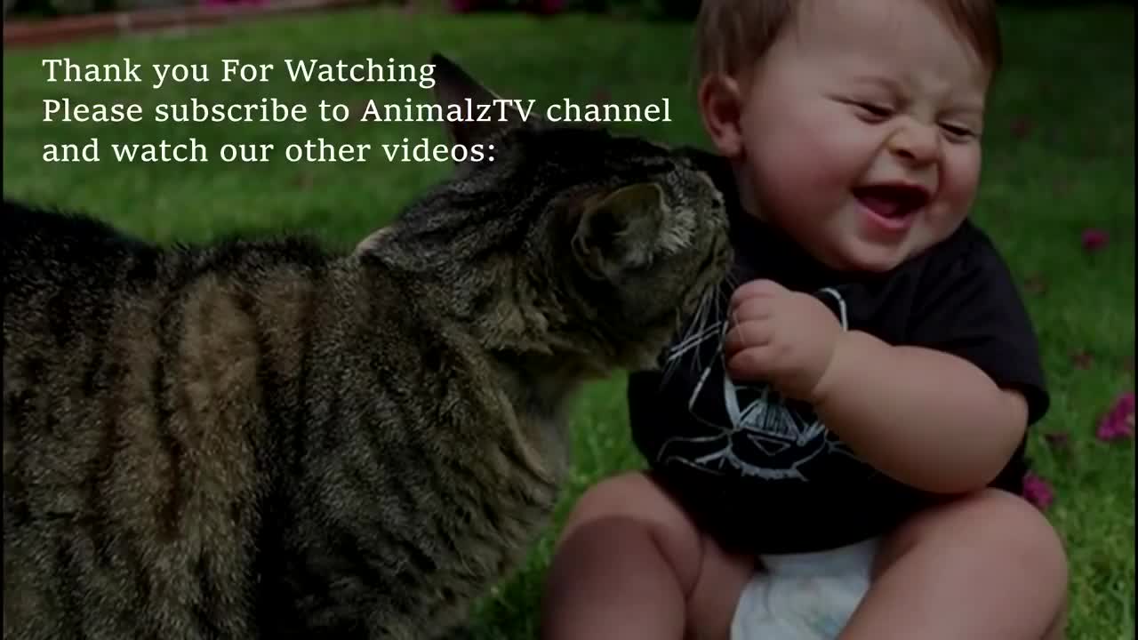 cute baby with animals compiled