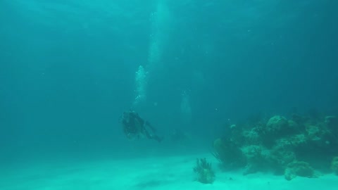 Double wreck dive.