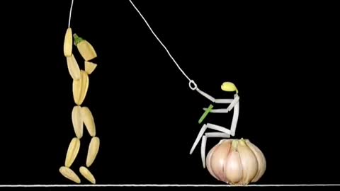 Inspirational Bean Sprouts