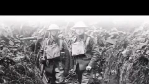 The 'truth about the Spanish flu'....
