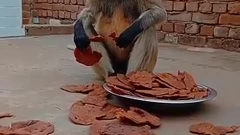 Hanuman##