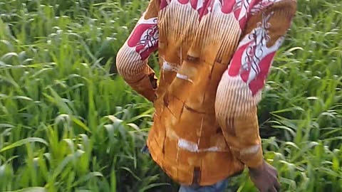 Farmer
