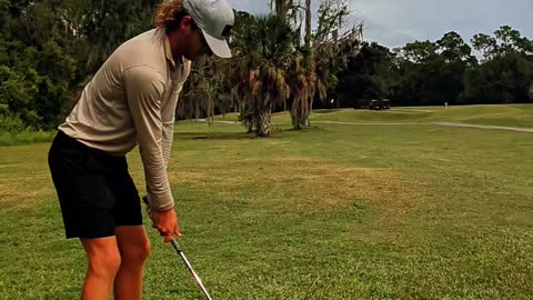 A day in Tampa!