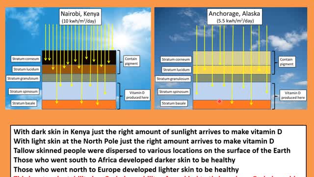 Why Biblical Creation Is True 6
