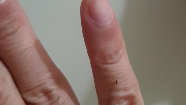 The return of a lonely ant - Happy Ending (Seri 2)
