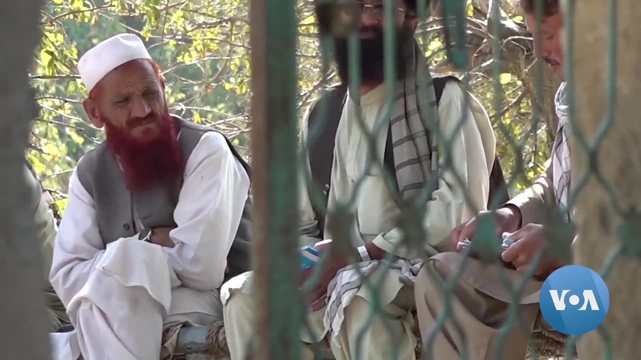 Poliovirus Vaccination Volunteer Hopes for Polio-Free Afghanistan