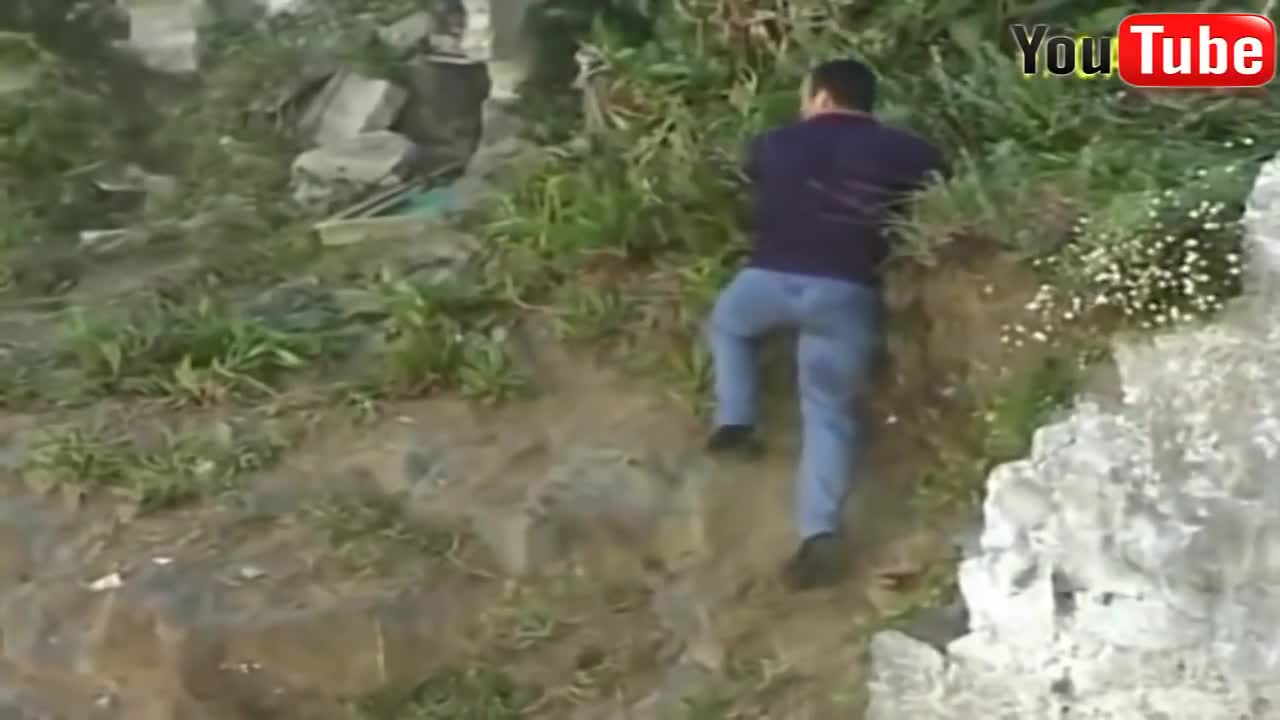Ox party in Brazil, would you have the courage?