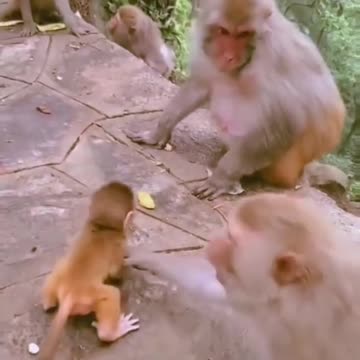 meri MAA ke barabar koi Nahi l motivation for students