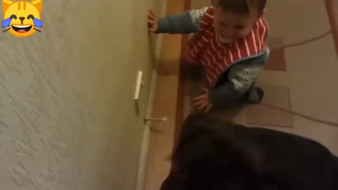 Funny Babies Laughing Hysterically at Dogs Compilation