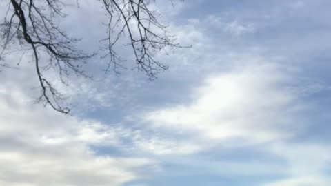 Guy jumps off slackline and tries to backflip, lands on shoulder