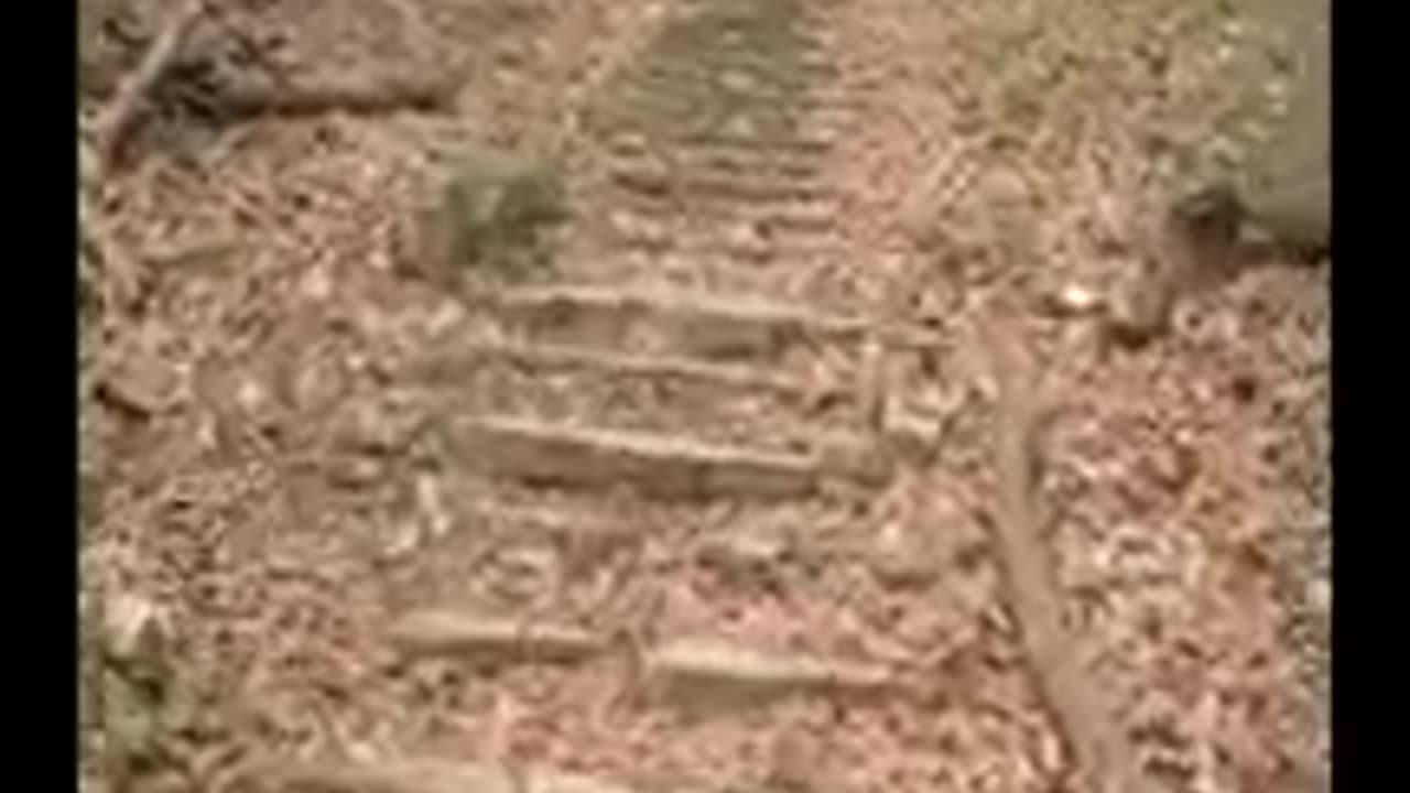 A video explanation of the events at Hummel Park Part 1