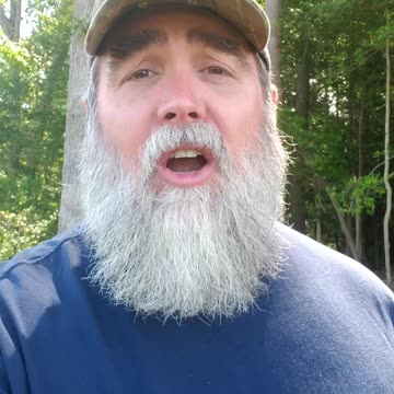 Cicada Armageddon???? The Answer Is...