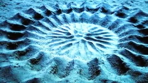 A rare phenomenon of natural beauty