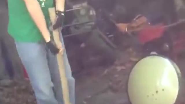 What did she think was going to happen