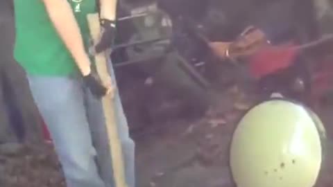 What did she think was going to happen