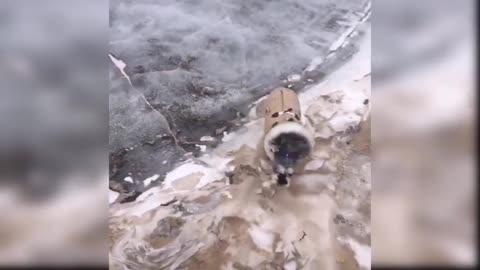 cute baby playing in a good mood
