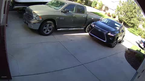 Don’t Let Grandma Park Your Car!!!