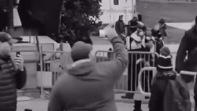 THE INSURRECTION WAS DIRECTED BY NANCY PELOSI