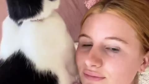 My Cute Kittens