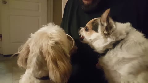 I'll bite you if you don't share.