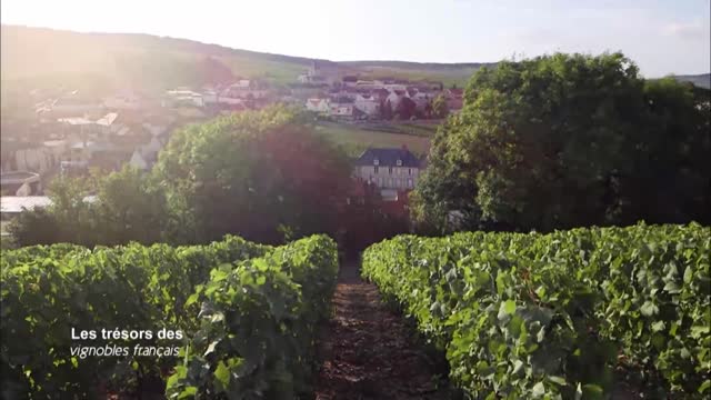 Les trésors des vignobles français38