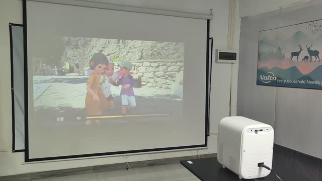 What kind of projector would you like to choose?