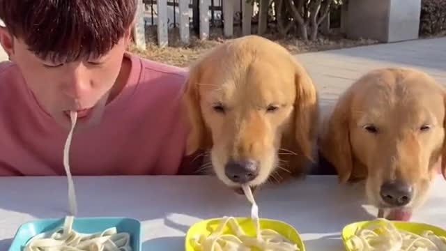 Take my noodles and give me my ham sausage
