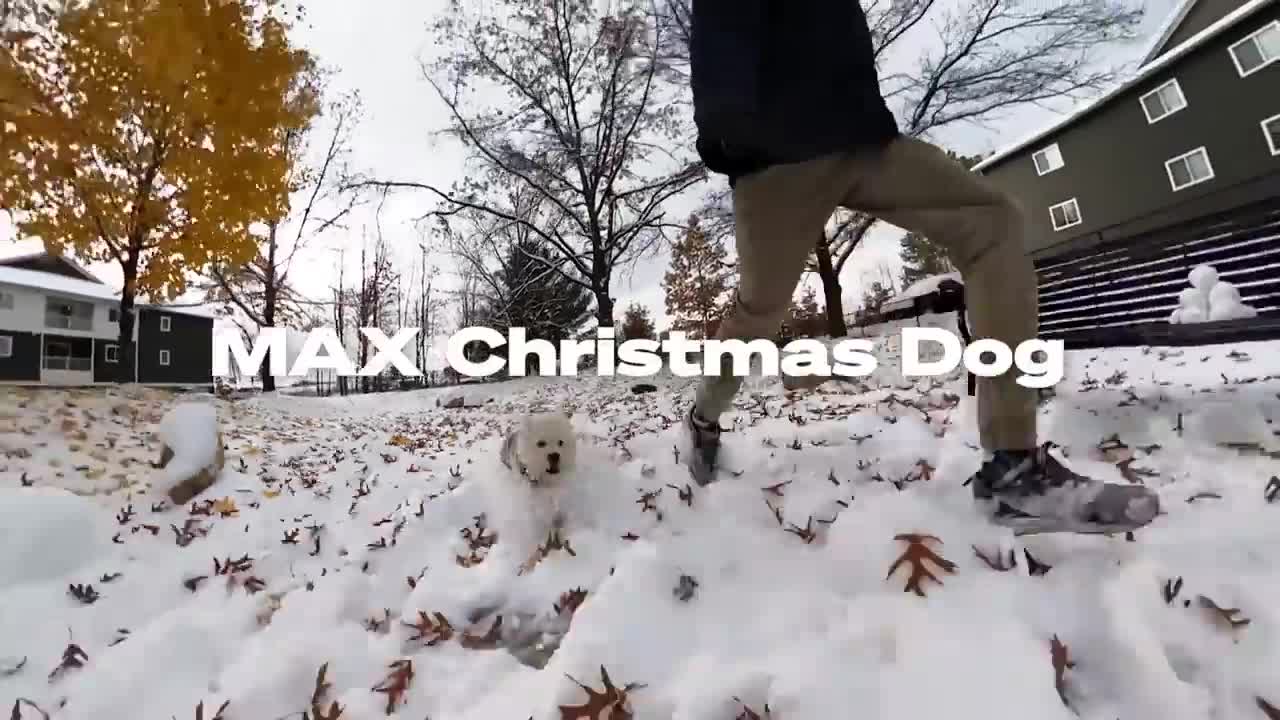 GoPro_ Top 10 Dog Moments