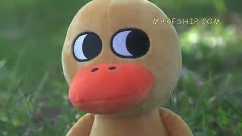 Duck Song