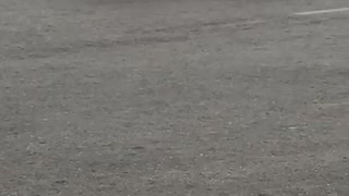 Guy Loses Temper at Walmart