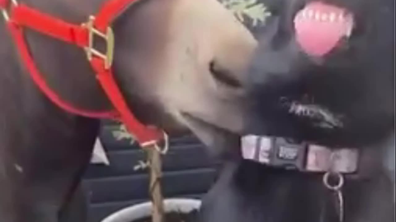 Putting on a happy face to an uncomfortable situation