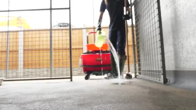 A day in the life of a rspca
