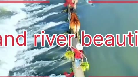 Nature and river beautiful view river sounds,nature sounds,relaxing river sounds,nature,river