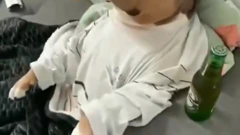 Cute dog hair cutting 🙂