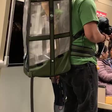 Man subway parrot in cage backpack green shirt