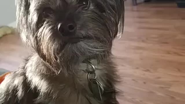 So angry