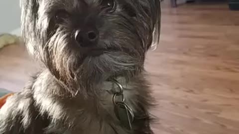 So angry