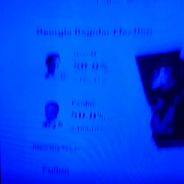 INTERNATIONAL WIDE ELECTION FRAUD VOTING MACHINE CRIME, GEORGIA RUNOFF SHAM ELECTION CRIME 245