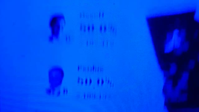 INTERNATIONAL WIDE ELECTION FRAUD VOTING MACHINE CRIME, GEORGIA RUNOFF SHAM ELECTION CRIME 245