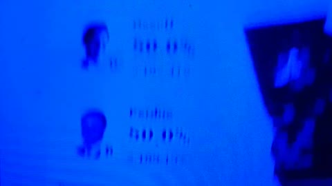 INTERNATIONAL WIDE ELECTION FRAUD VOTING MACHINE CRIME, GEORGIA RUNOFF SHAM ELECTION CRIME 245