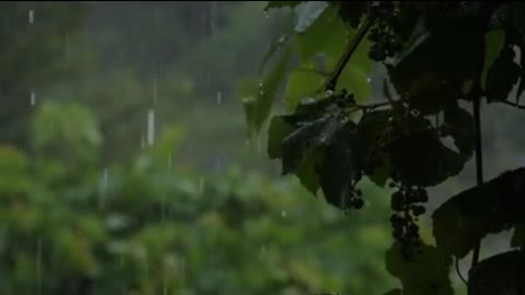 Relaxing Music Rain and Thunder with Piano