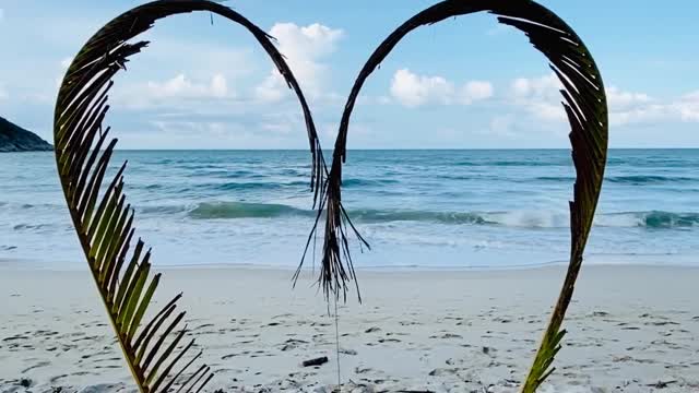 A Heart Shaped Made From Palm Leaves