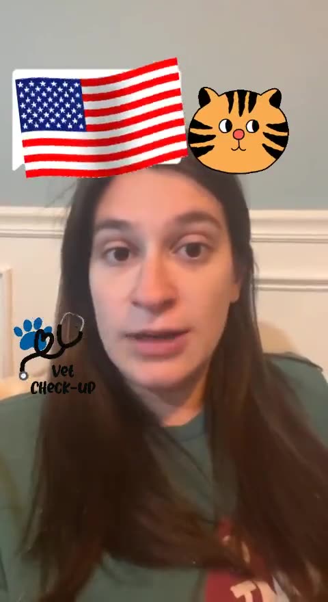 My son identifies as a cat